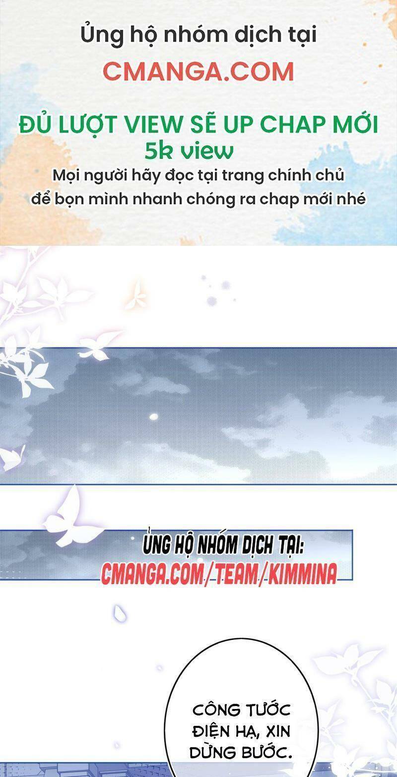 Chapter 29