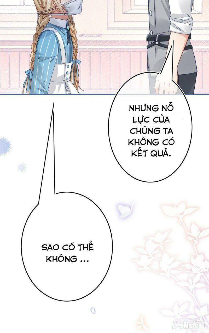 Chapter 31