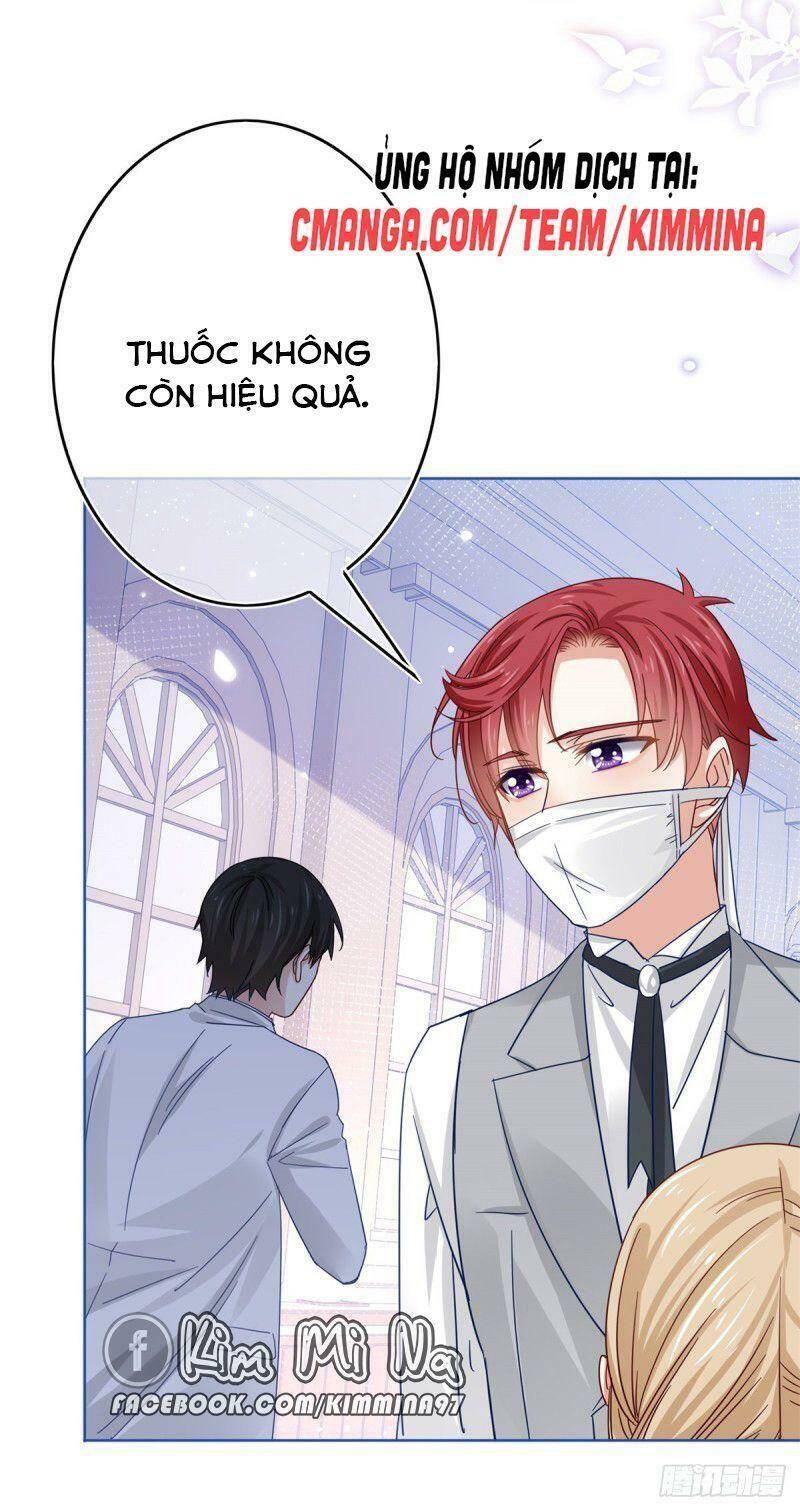 Chapter 31