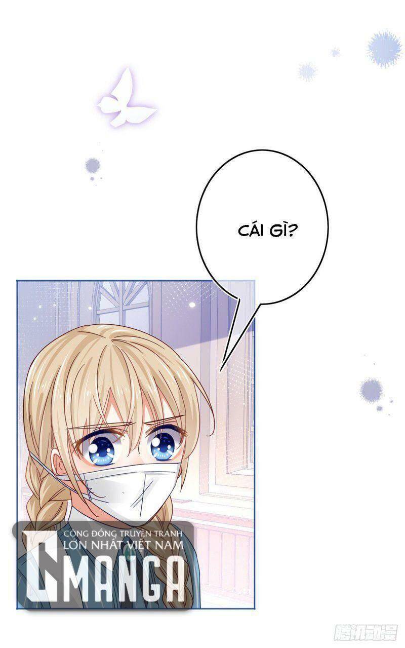 Chapter 31