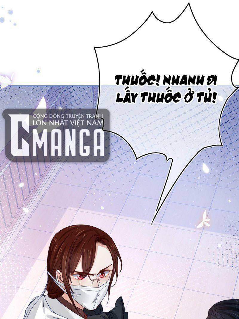 Chapter 31