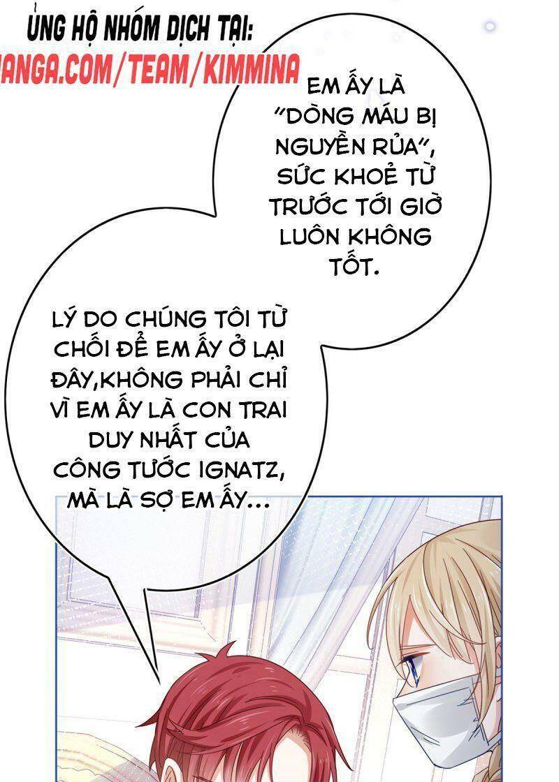 Chapter 31