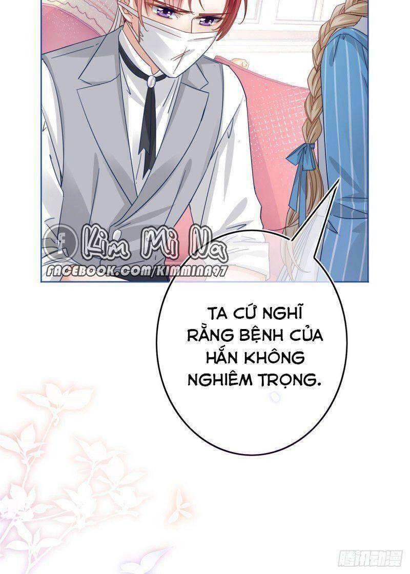 Chapter 31