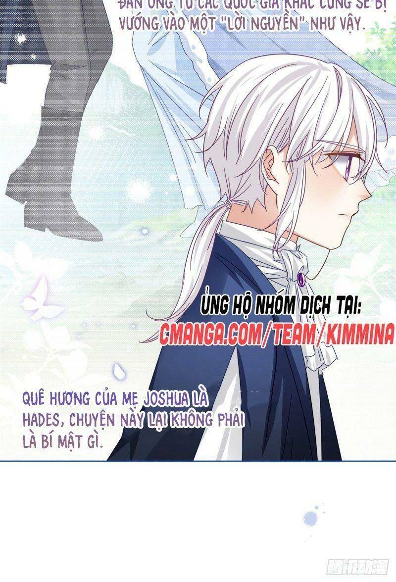 Chapter 31