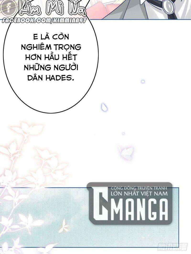 Chapter 31