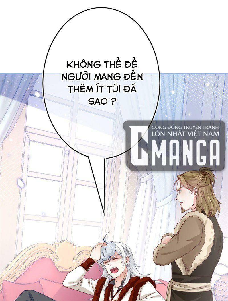Chapter 31