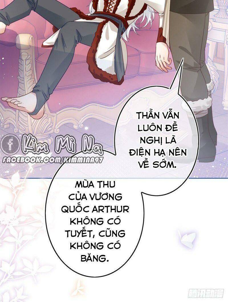 Chapter 31