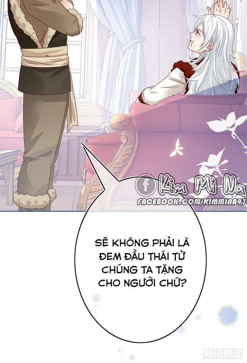 Chapter 31