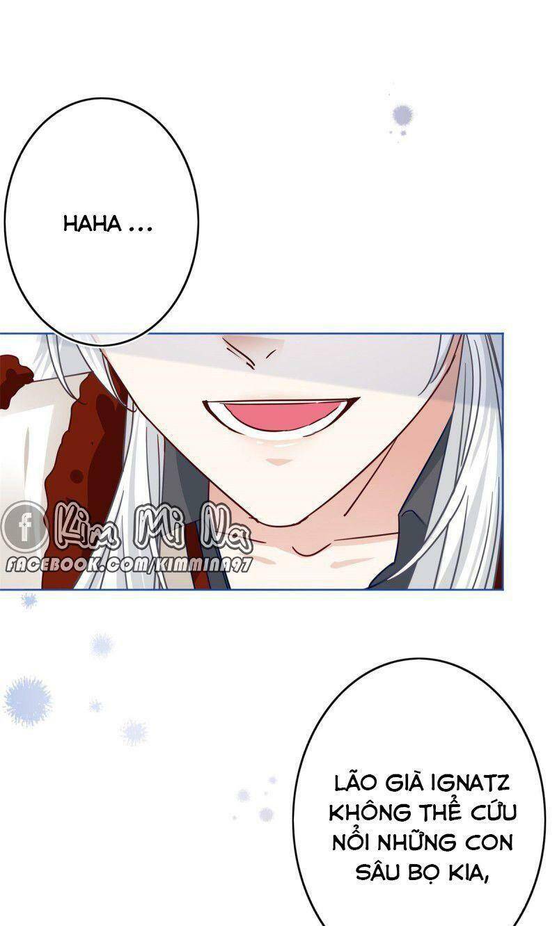 Chapter 31