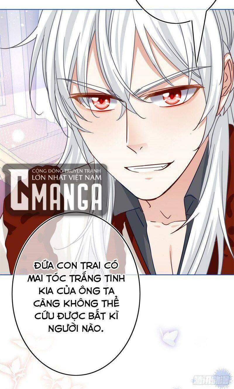 Chapter 31
