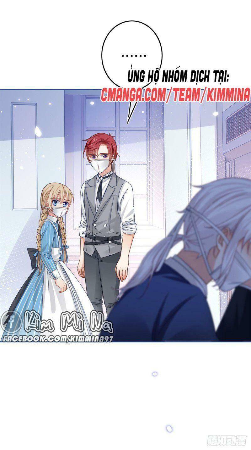 Chapter 31
