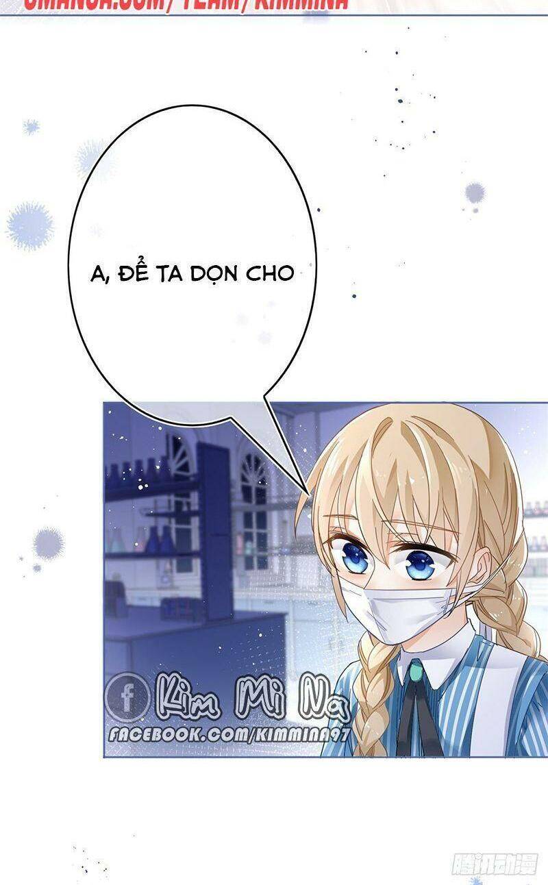 Chapter 33