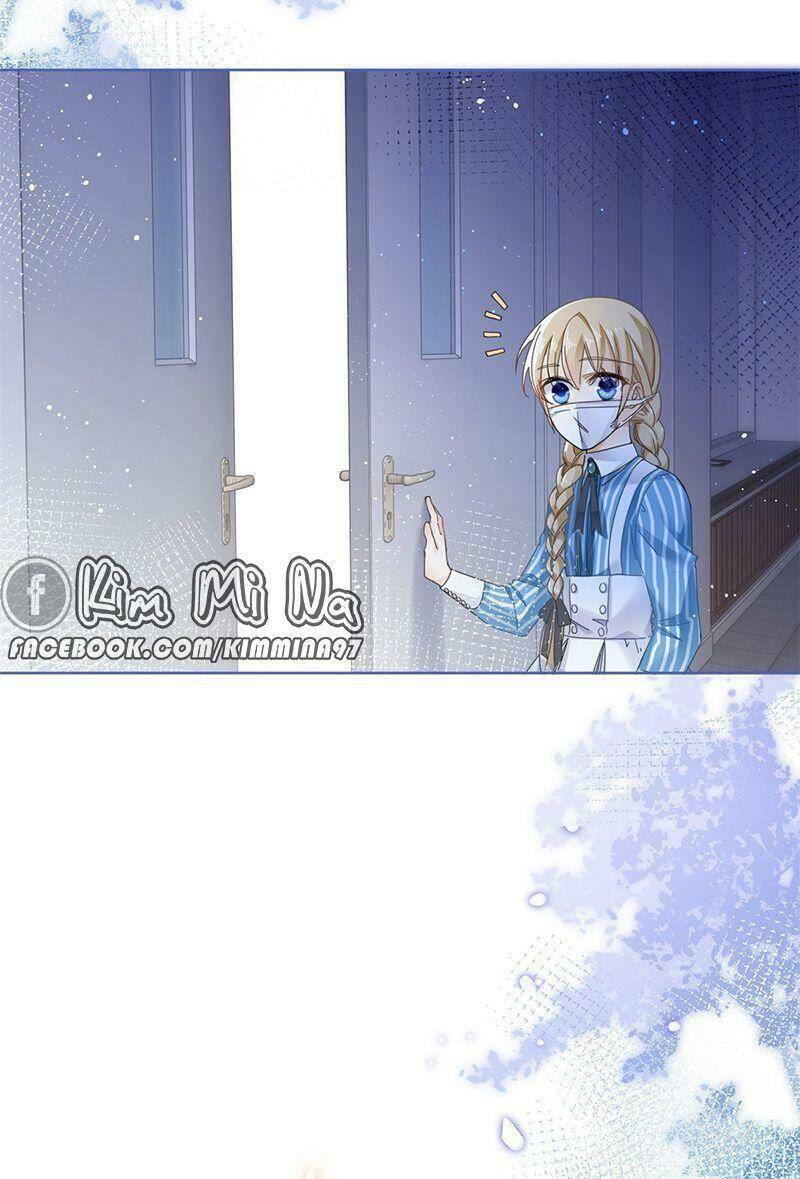 Chapter 33