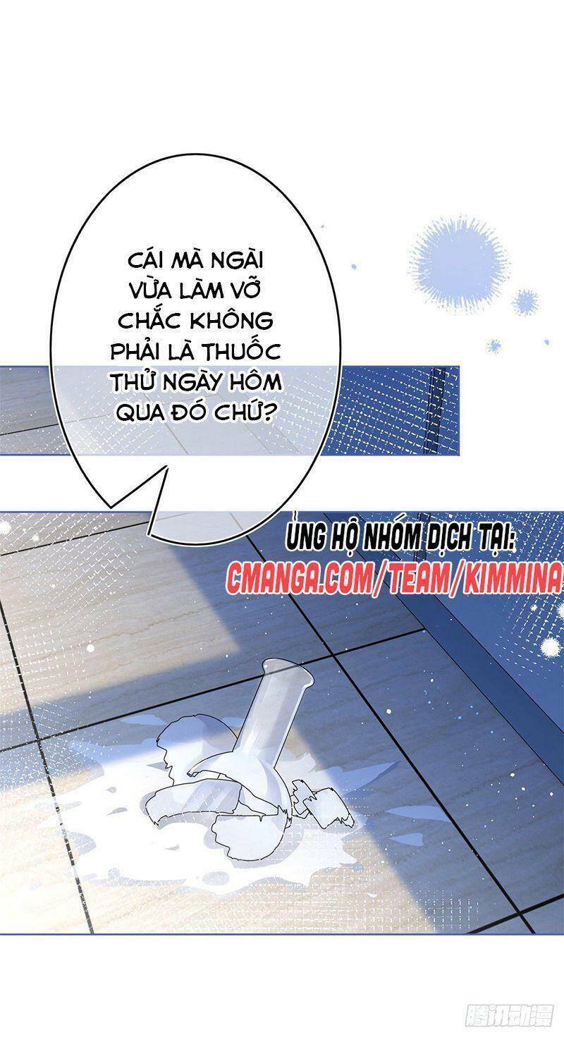 Chapter 33