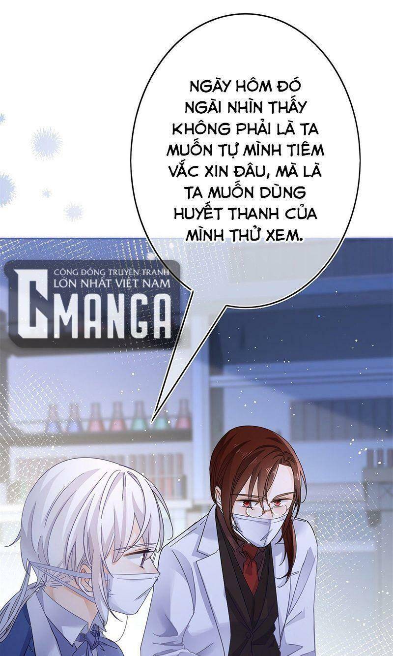 Chapter 33