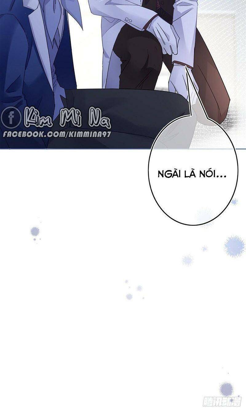 Chapter 33