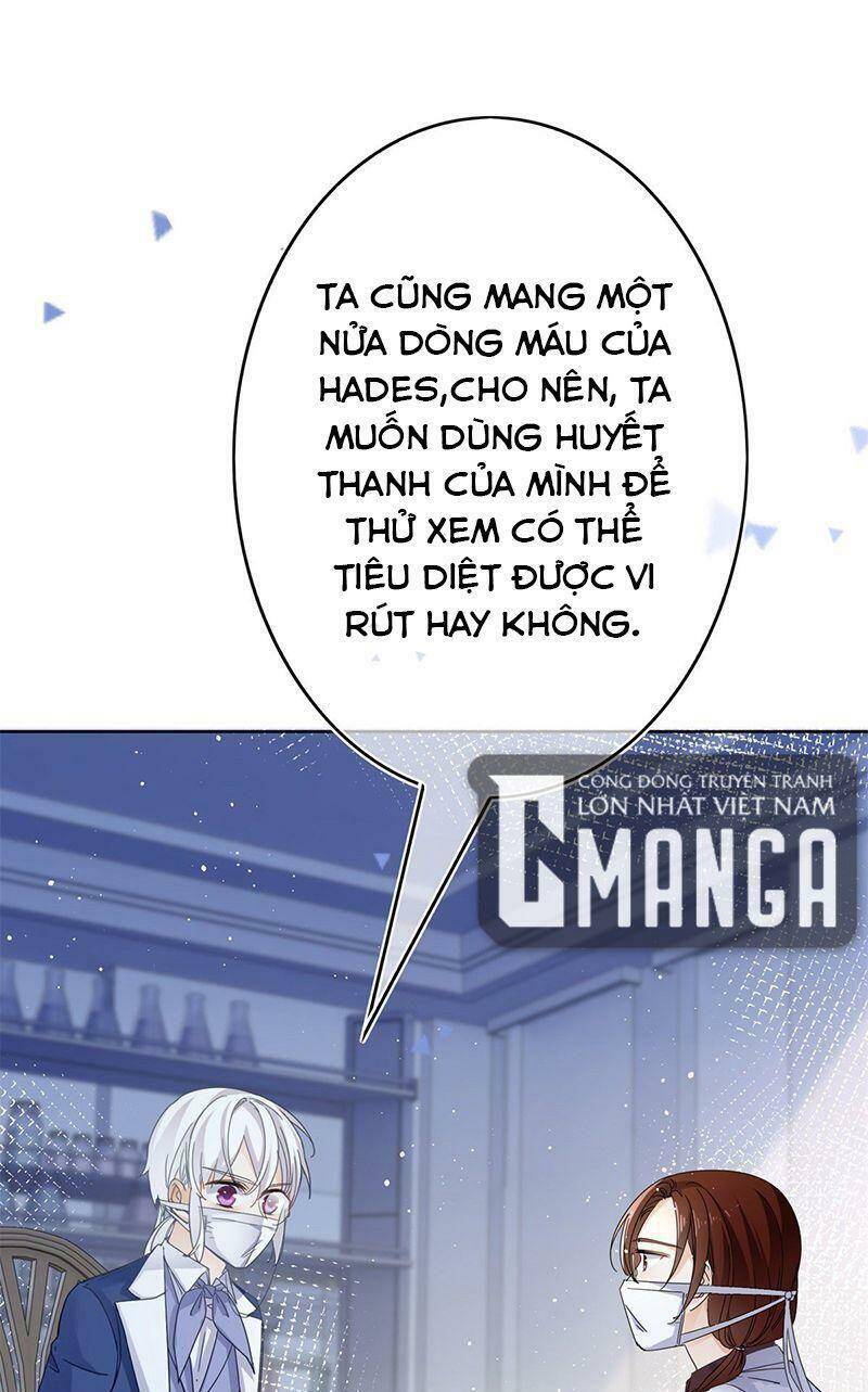 Chapter 33