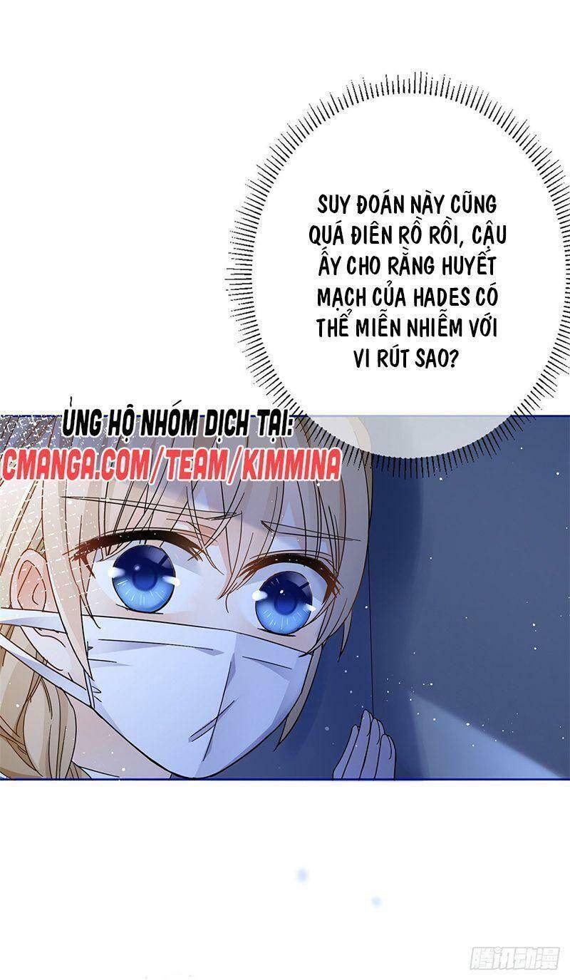 Chapter 33