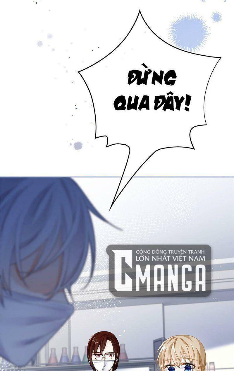 Chapter 33