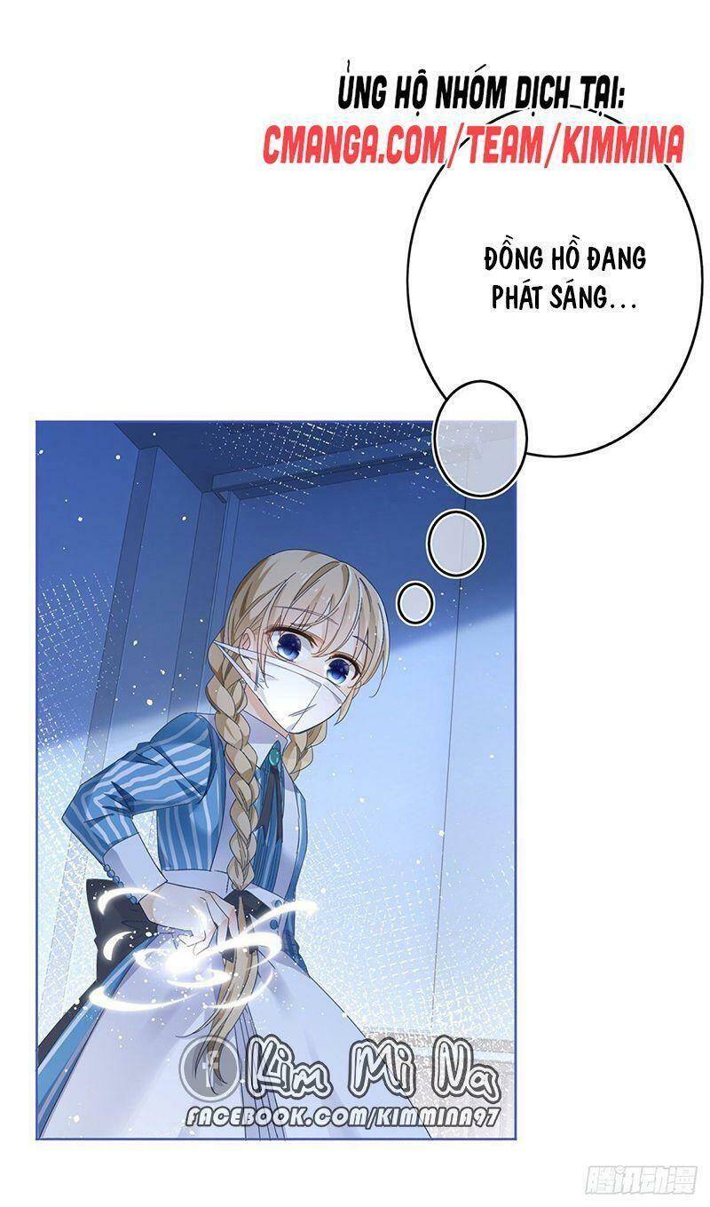 Chapter 33