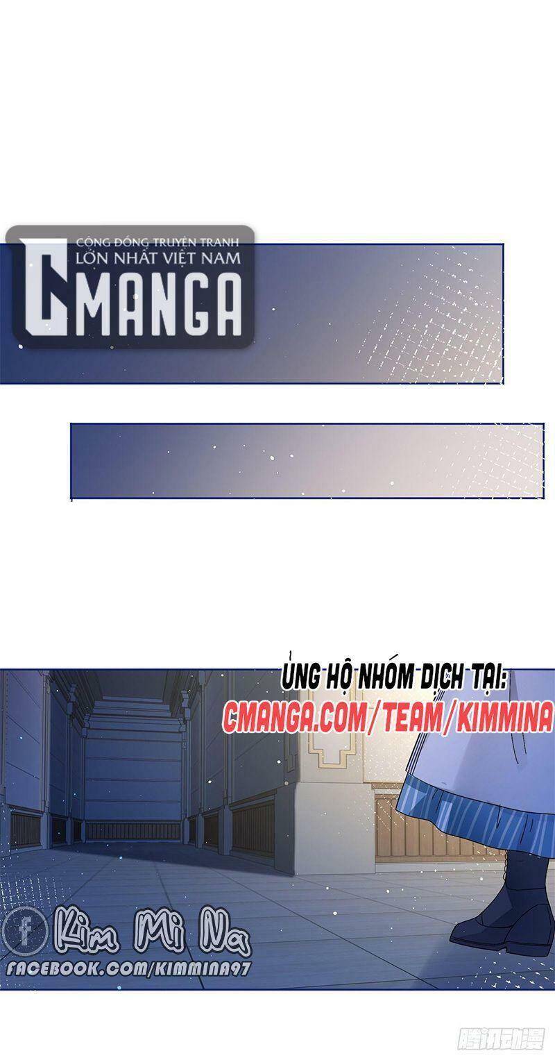 Chapter 33
