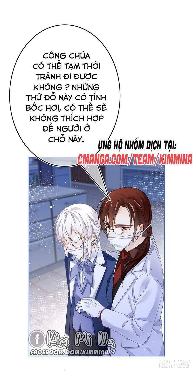 Chapter 33