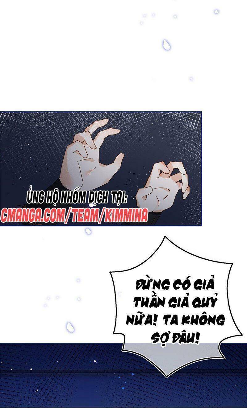 Chapter 33