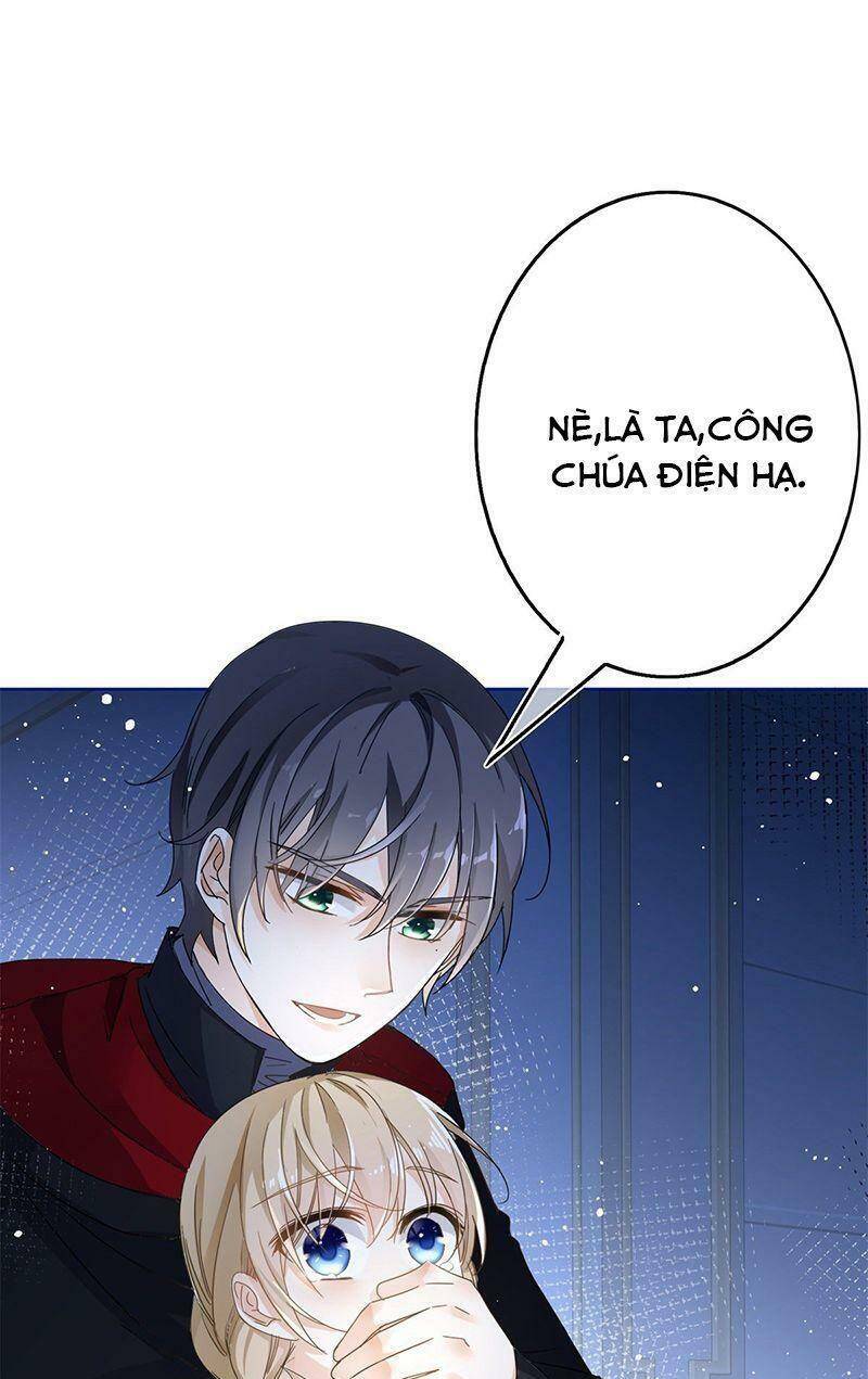 Chapter 33