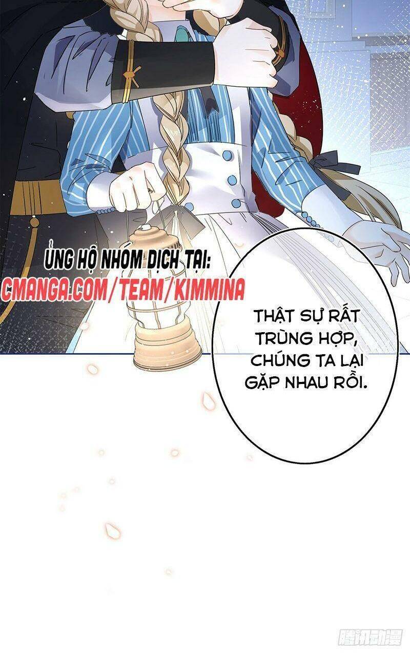 Chapter 33
