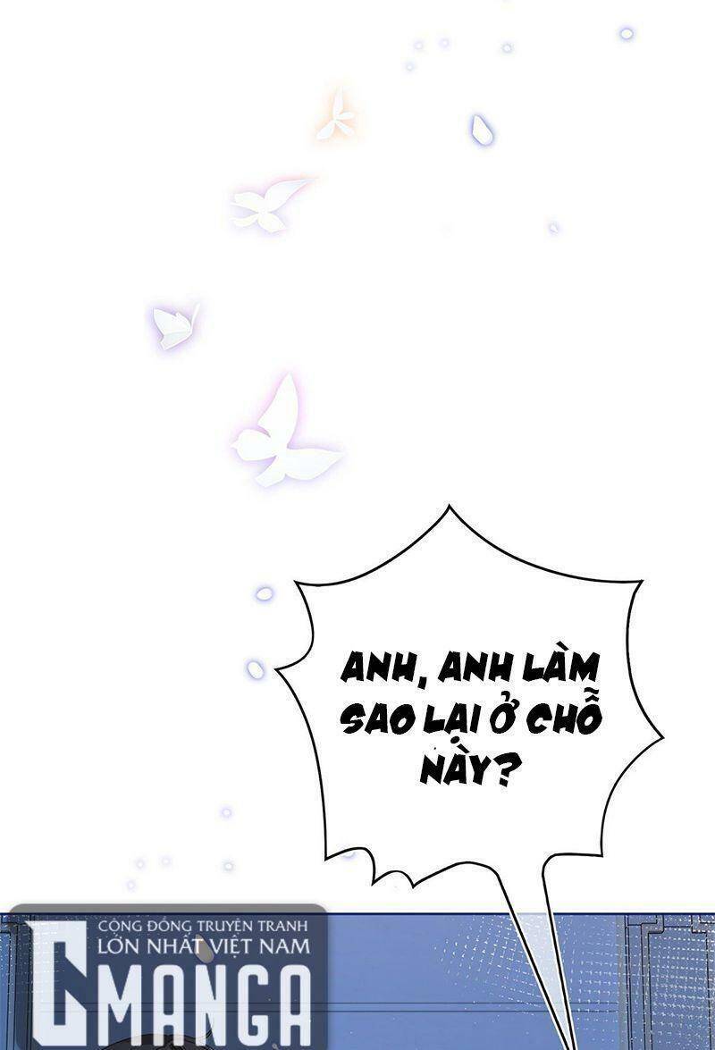 Chapter 33