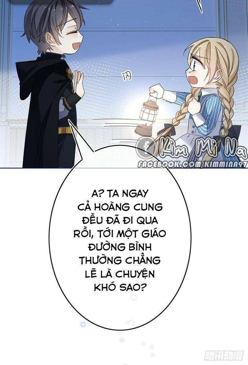 Chapter 33