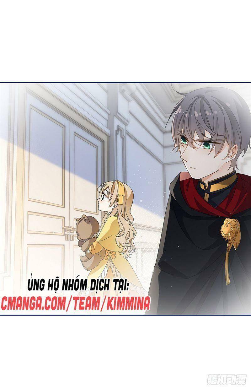Chapter 33