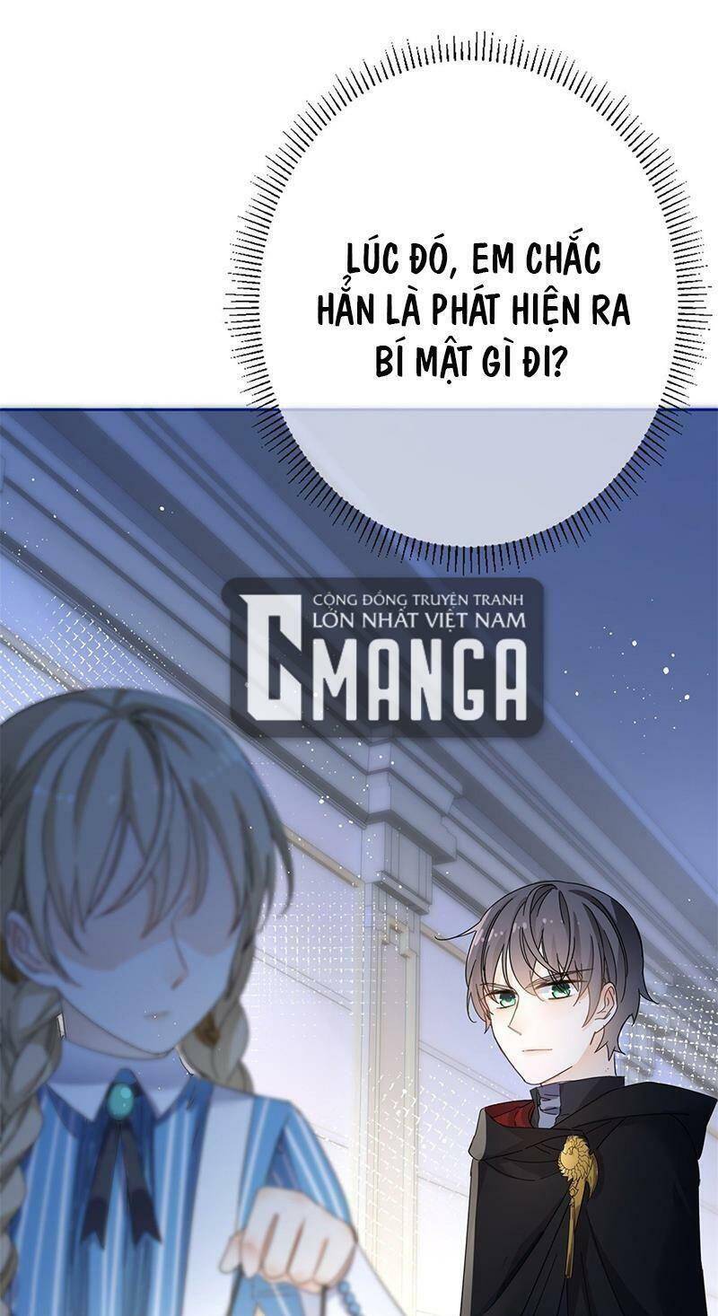 Chapter 33