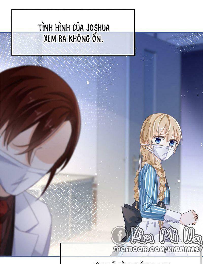Chapter 33