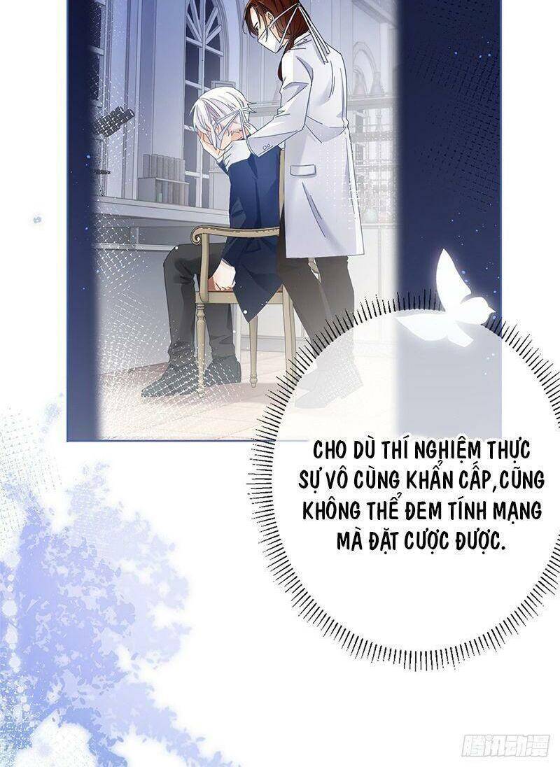Chapter 33