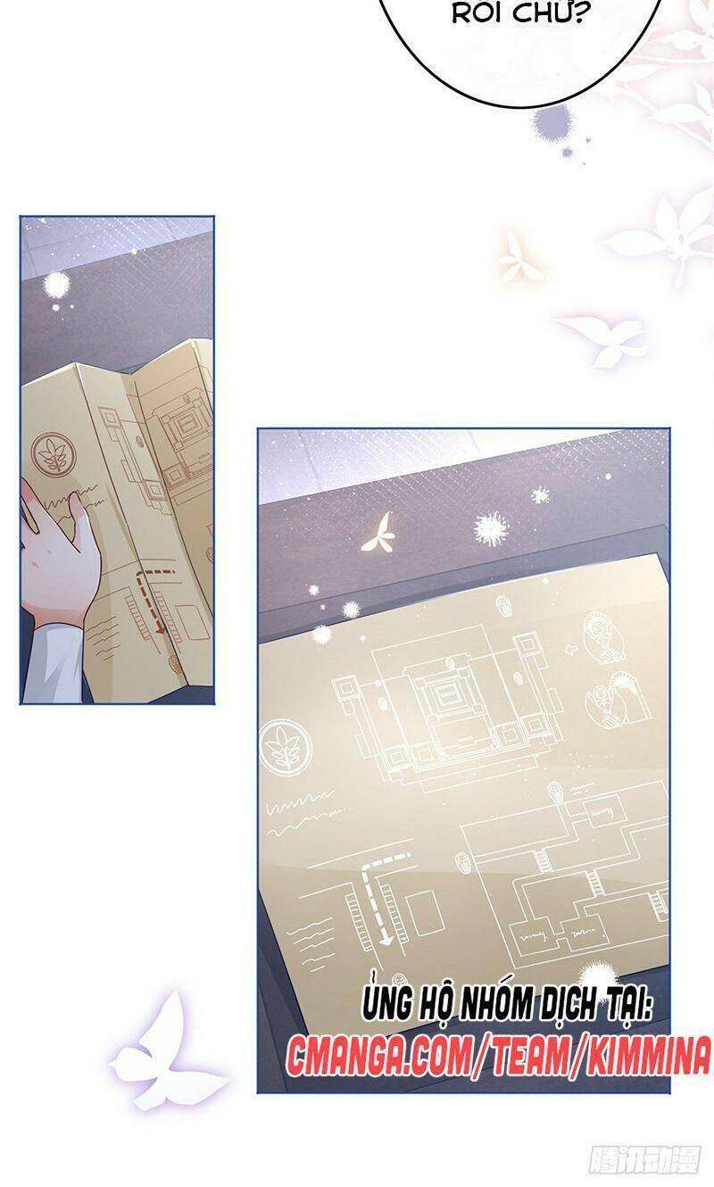 Chapter 35