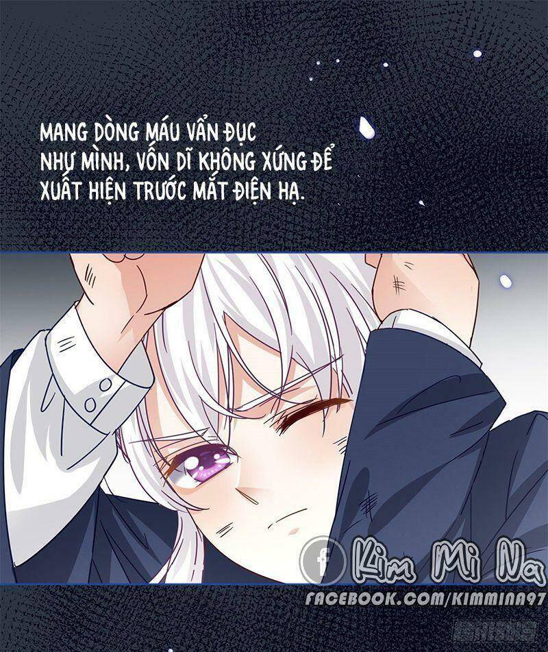 Chapter 37