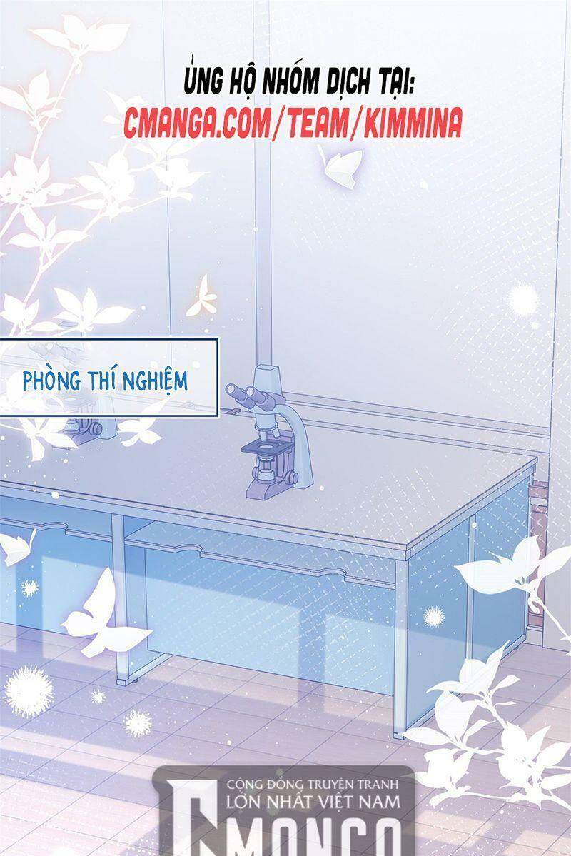 Chapter 39