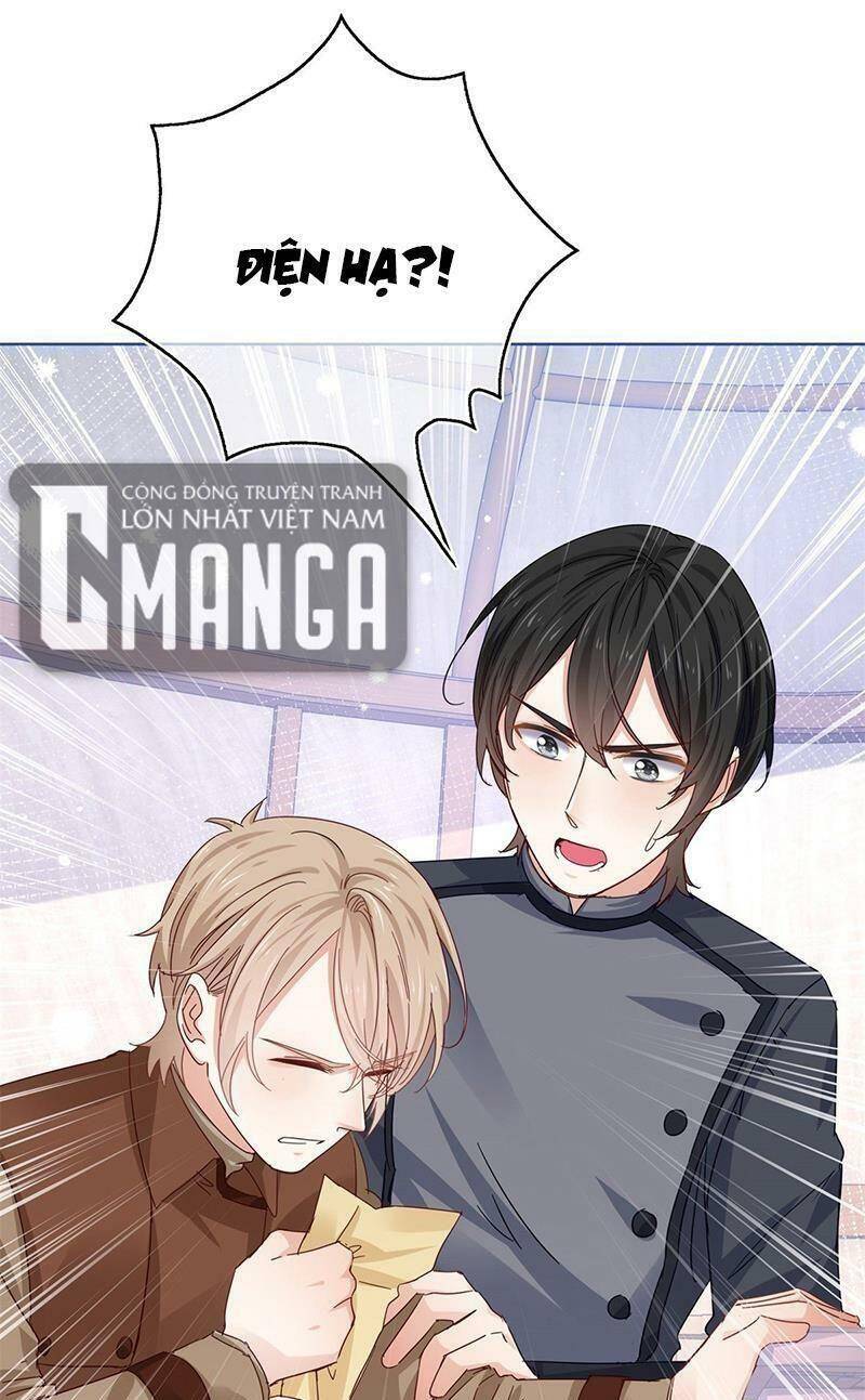Chapter 39
