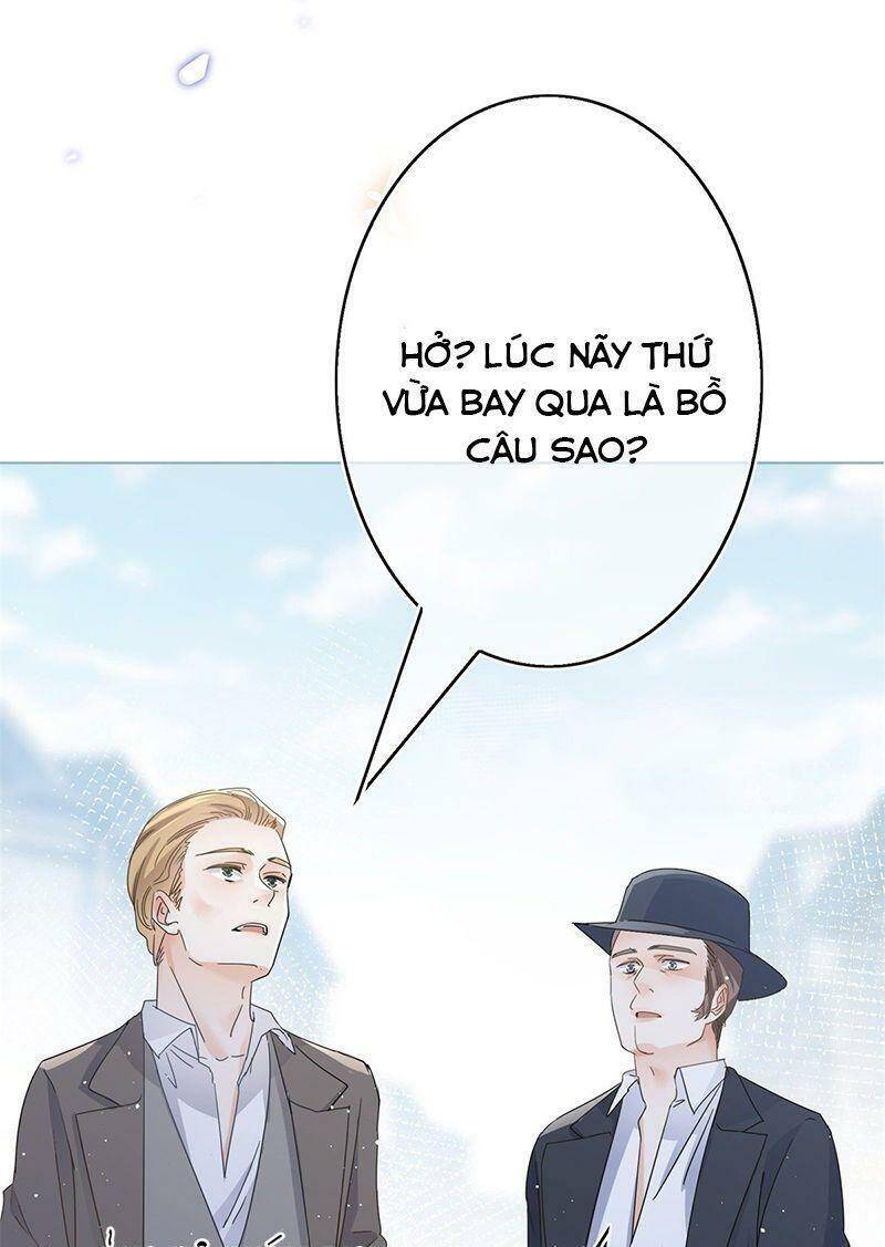 Chapter 40
