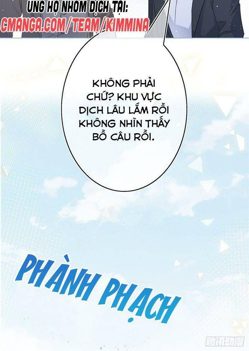 Chapter 40