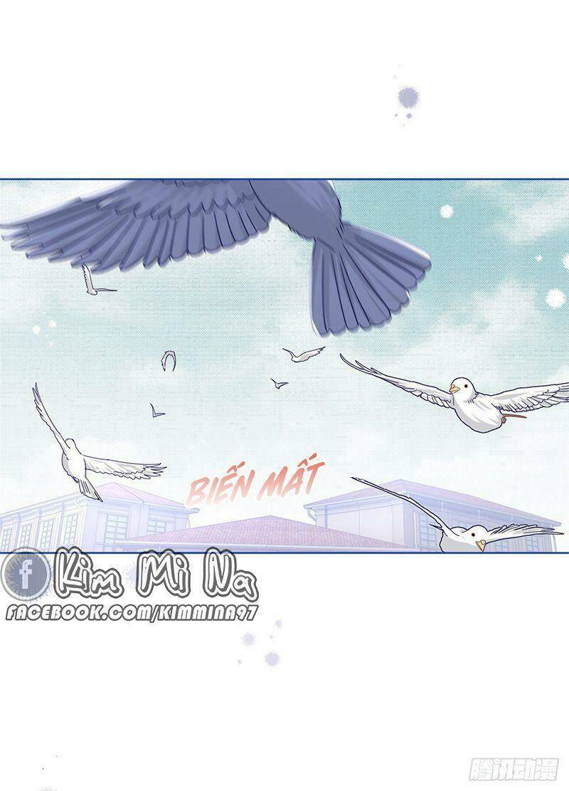 Chapter 40