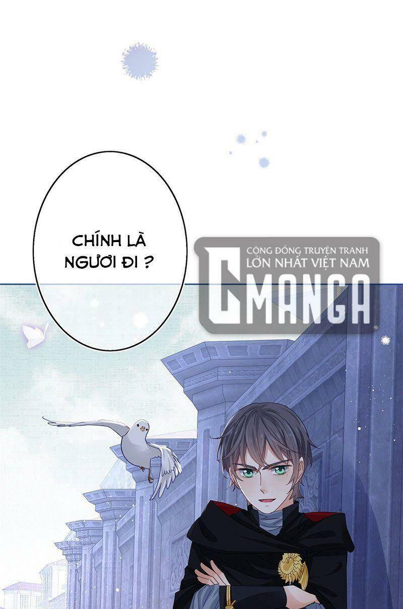 Chapter 40