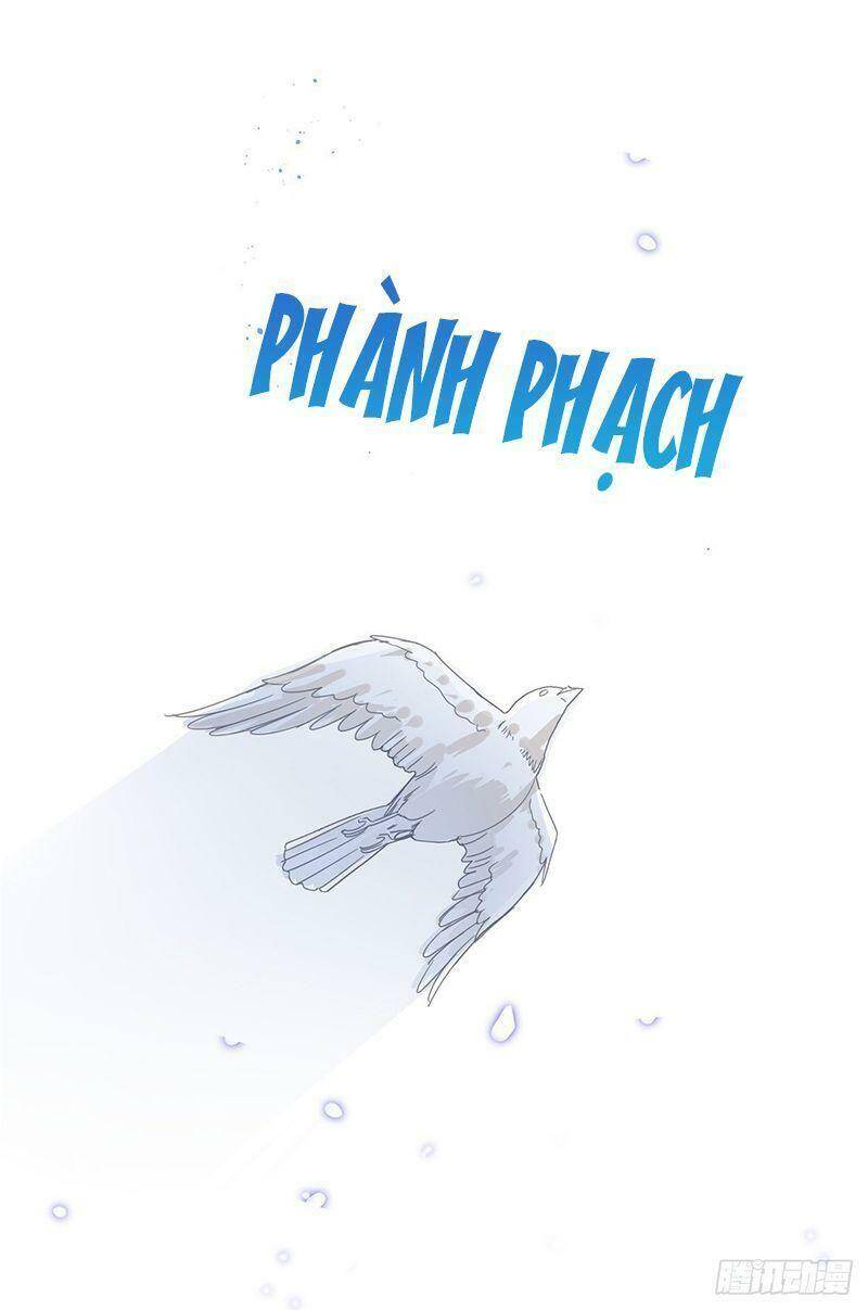 Chapter 40