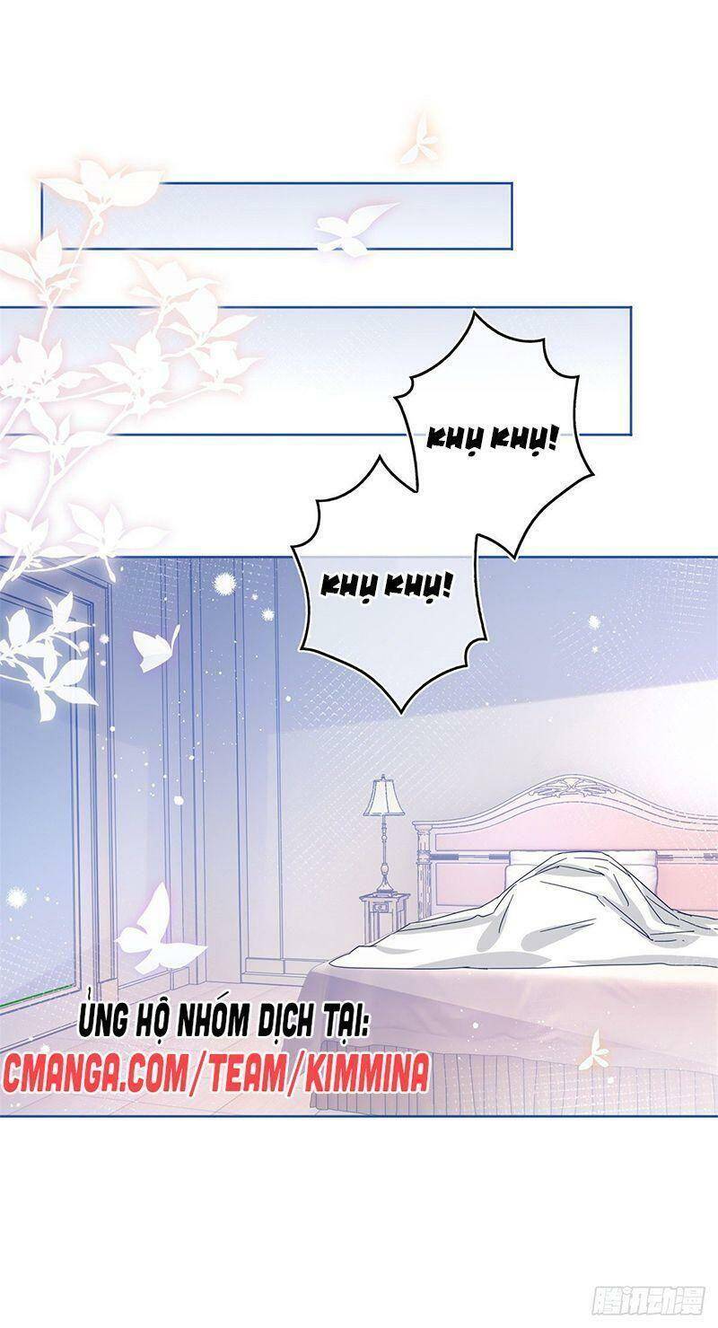 Chapter 41