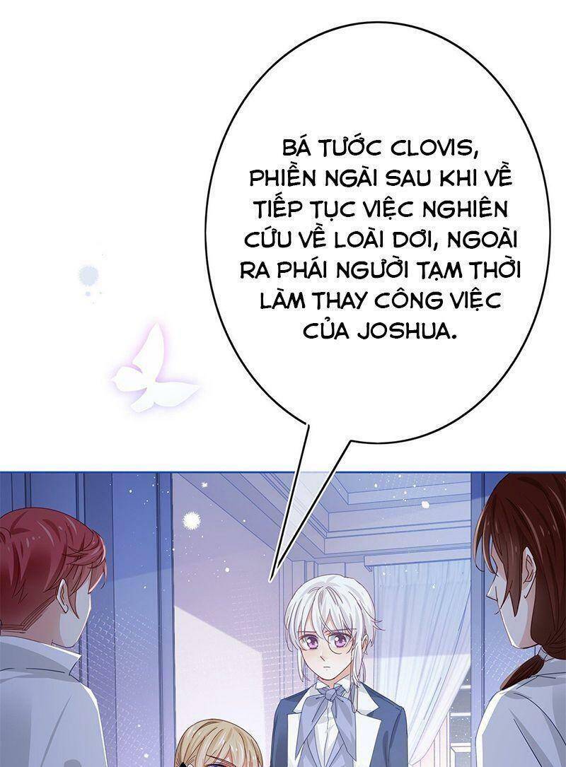 Chapter 41