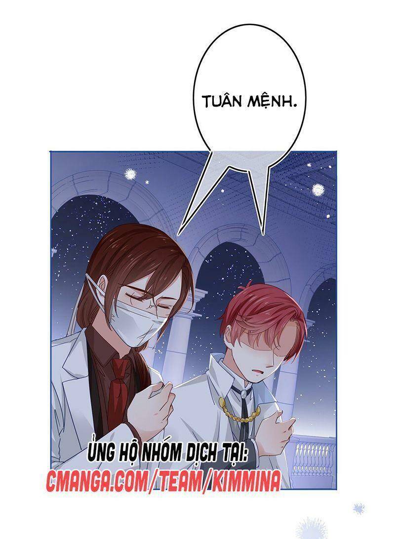 Chapter 41