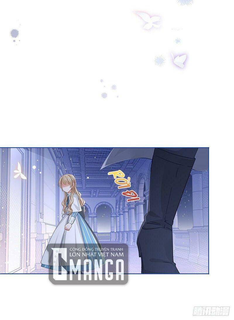 Chapter 41