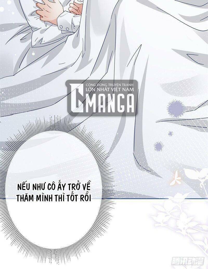 Chapter 41