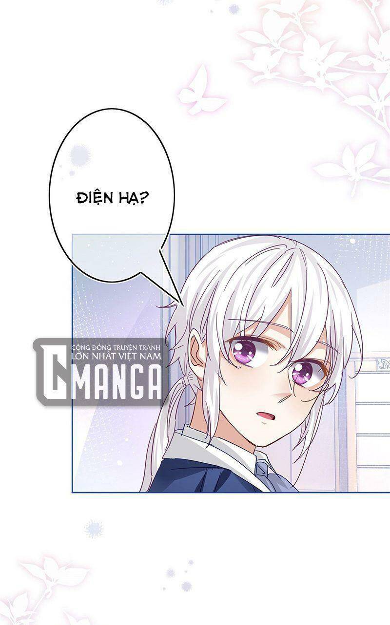Chapter 41